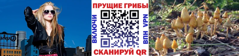 Галлюциногенные грибы ЛСД Петропавловск-Камчатский