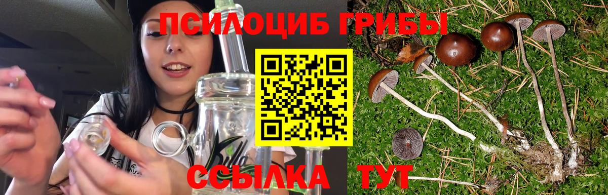 Галлюциногенные грибы MAGIC MUSHROOMS  Вход с VPN  Петропавловск-Камчатский  Галлюциногенные грибы Cubensis 