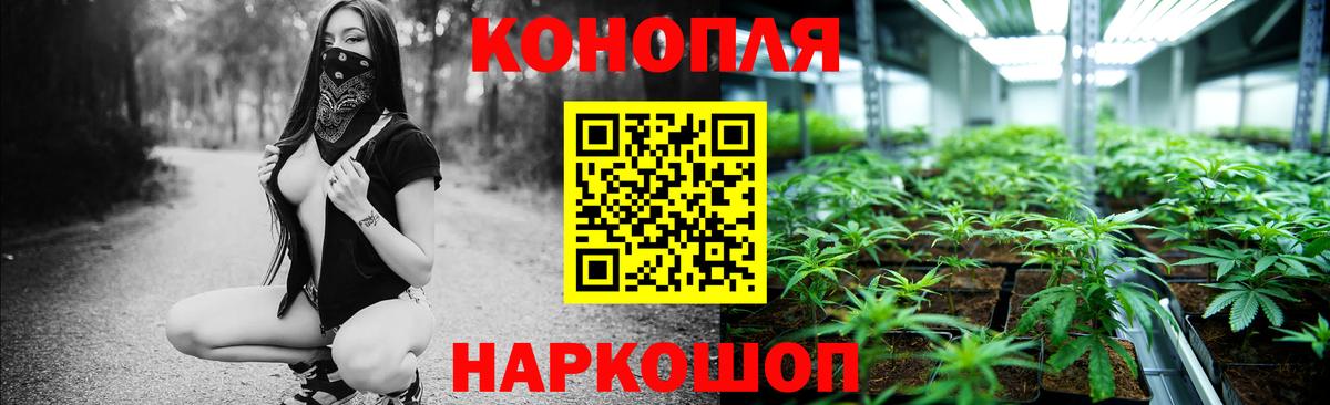 Шишки марихуана план Петропавловск-Камчатский